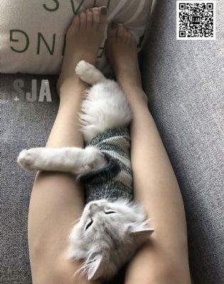 线资源中文在线tv