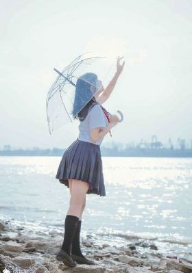 电视剧网