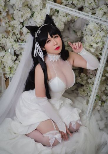 梦想成为魔法少女动画免费观看